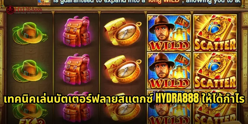 เทคนิคเล่นบัตเตอร์ฟลายสแตกซ์ HYDRA888 ให้ได้กำไร