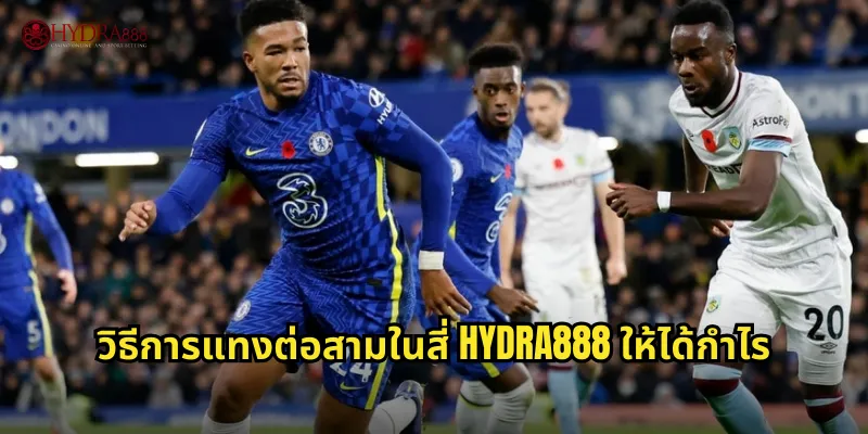 วิธีการแทงต่อสามในสี่ HYDRA888 ให้ได้กำไร